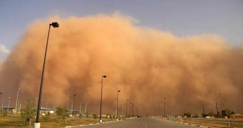 UAE, Iran to bolster coop. to combat dust storms
