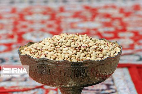 Iran's pistachio exports to EU top €95 m in Jan-Sep: Report