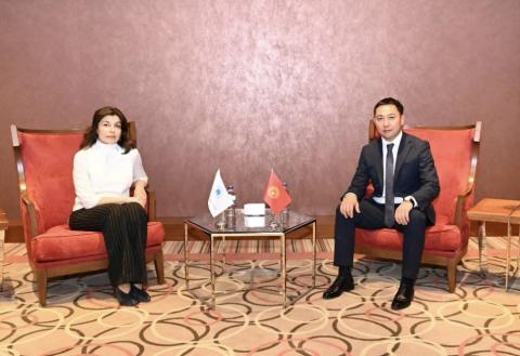 President of International Turkic Culture and Heritage Foundation meet with Kyrgyz Minister