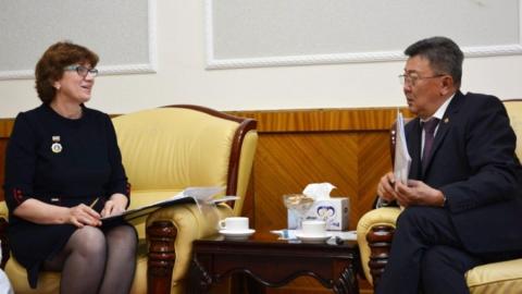 DEFENSE MINISTER RECEIVES ICRC DELEGATION