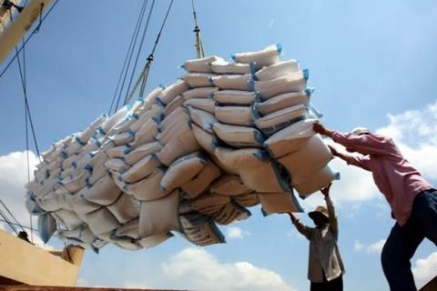 Vietnamese PM orders suspension of signing rice-exporting contracts