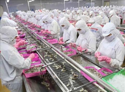 Vietnam sees impressive growth in aquatic exports to China