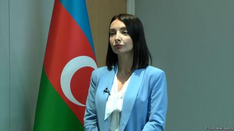 Azerbaijani Ambassador to France comments on French National Assembly resolution against Azerbaijan