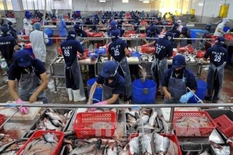 Vietnam's seafood exports face barriers