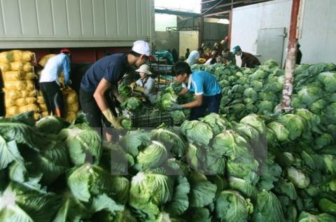 Vietnam targets 4.5 billion USD from farm produce exports by 2020