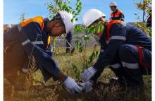Employees of Mining Companies Plant Trees