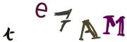 Image CAPTCHA