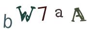 Image CAPTCHA