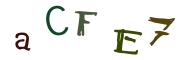 Image CAPTCHA
