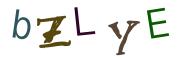 Image CAPTCHA