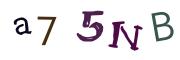 Image CAPTCHA