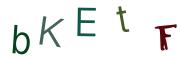 Image CAPTCHA