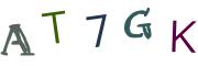 Image CAPTCHA