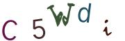 Image CAPTCHA