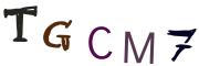Image CAPTCHA
