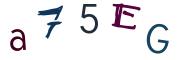 Image CAPTCHA