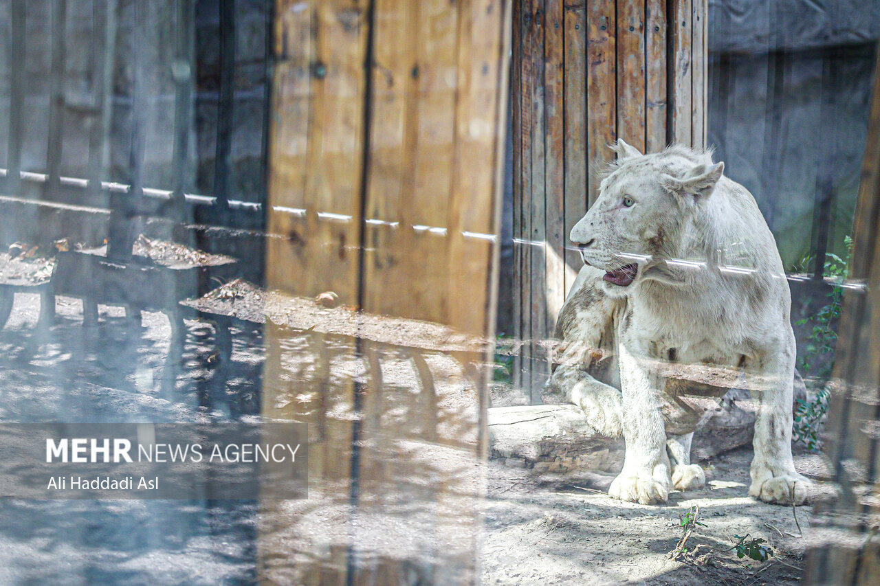 Tehran Grand Zoo