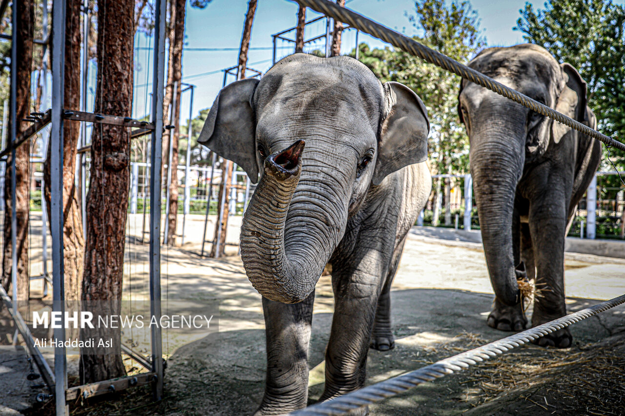 Tehran Grand Zoo