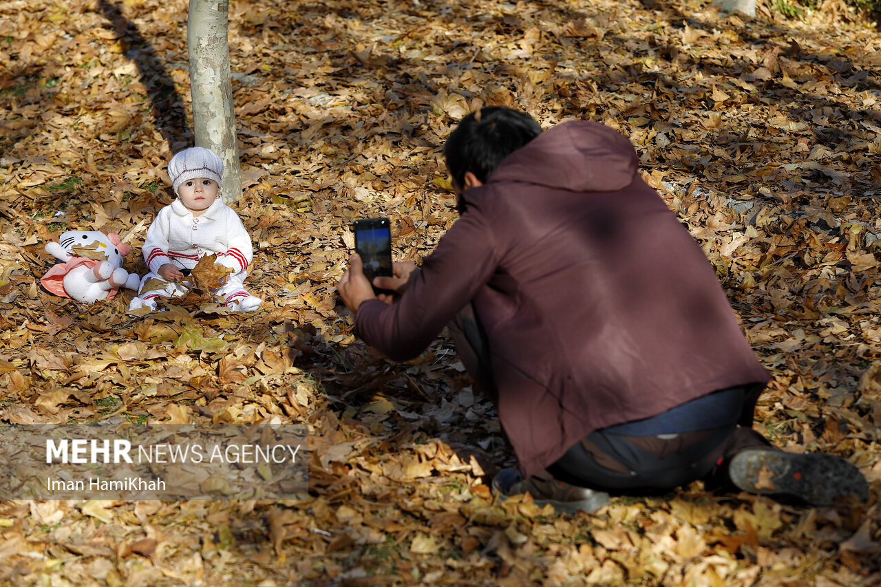 Autumn festival in Hamedan