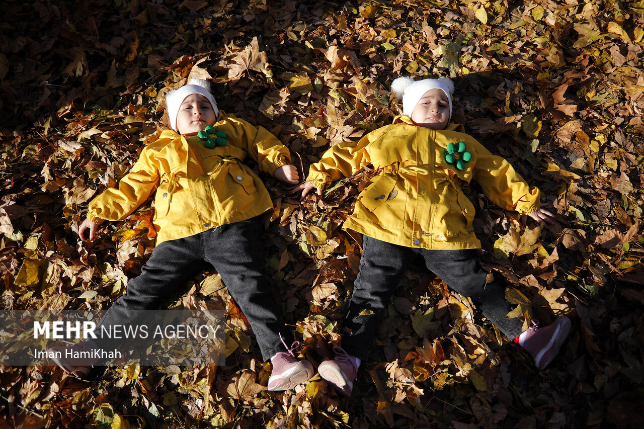 Autumn festival in Hamedan