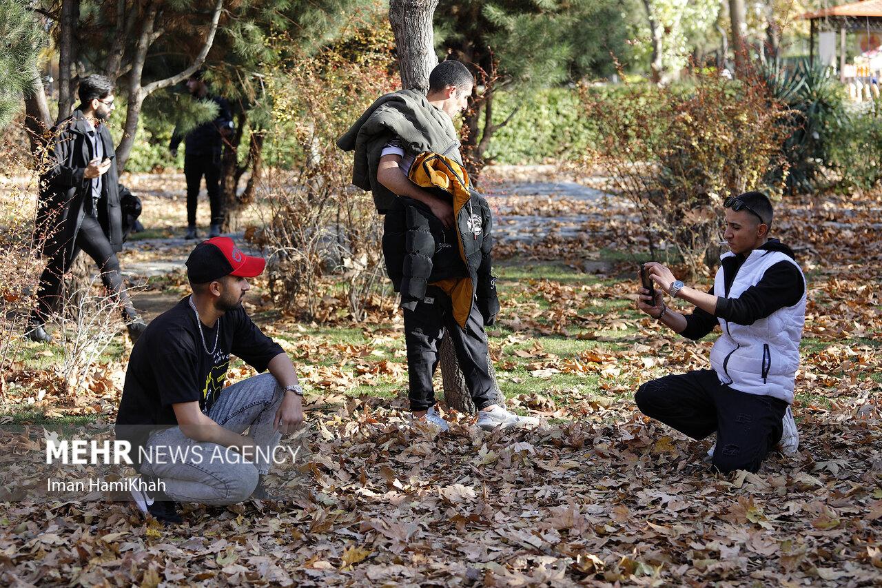 Autumn festival in Hamedan