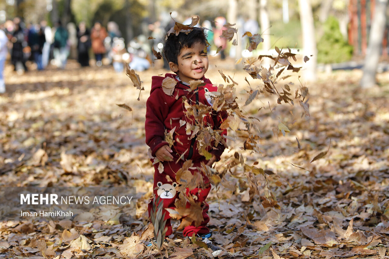 Autumn festival in Hamedan