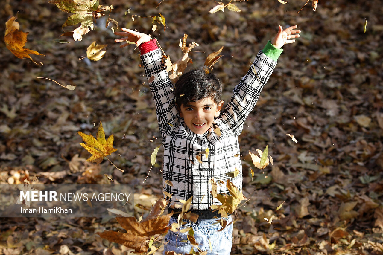 Autumn festival in Hamedan