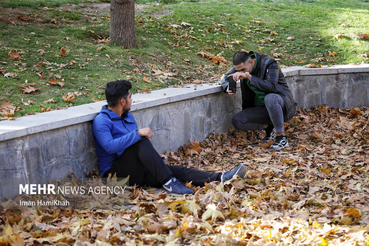 Autumn festival in Hamedan