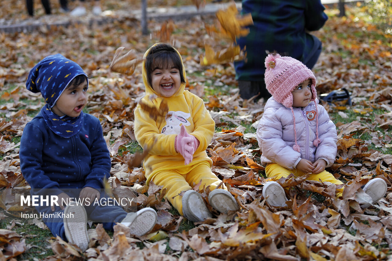 Autumn festival in Hamedan