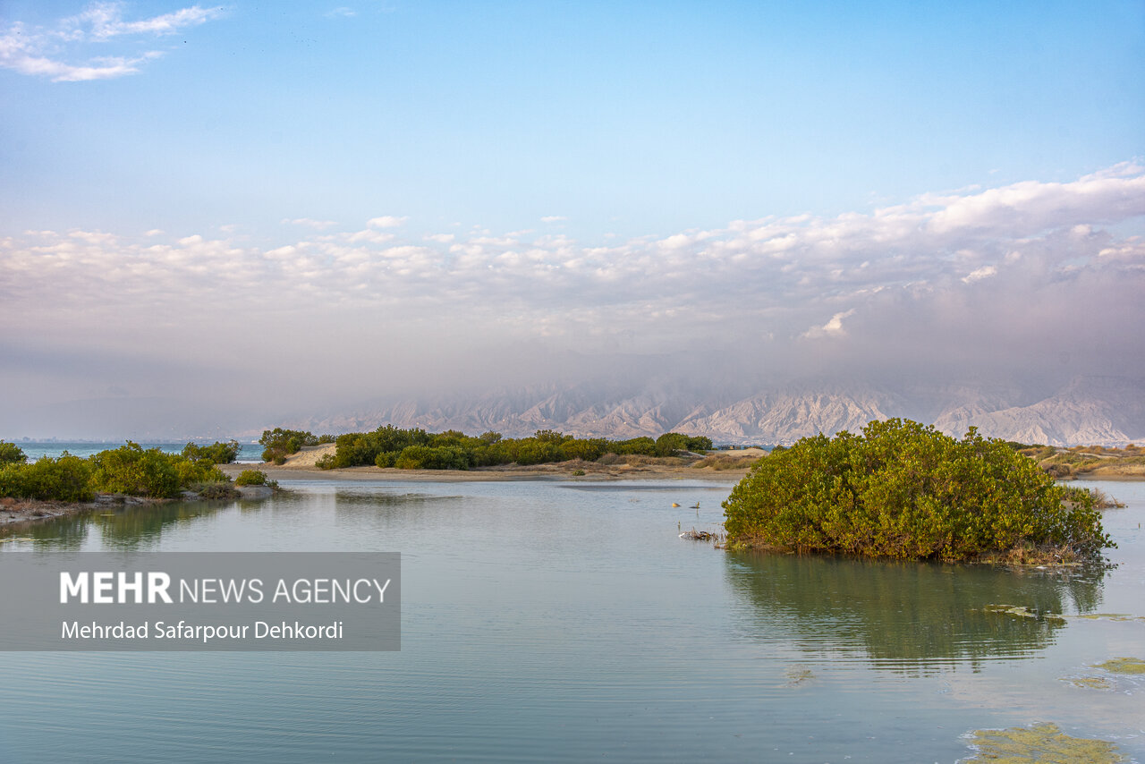 Naiband, Iran’s First Marine National Park