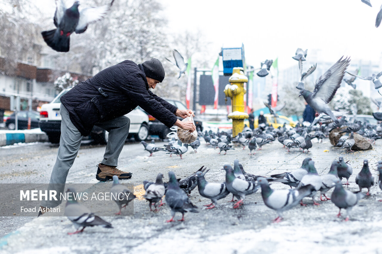 Snowfall in Tehran