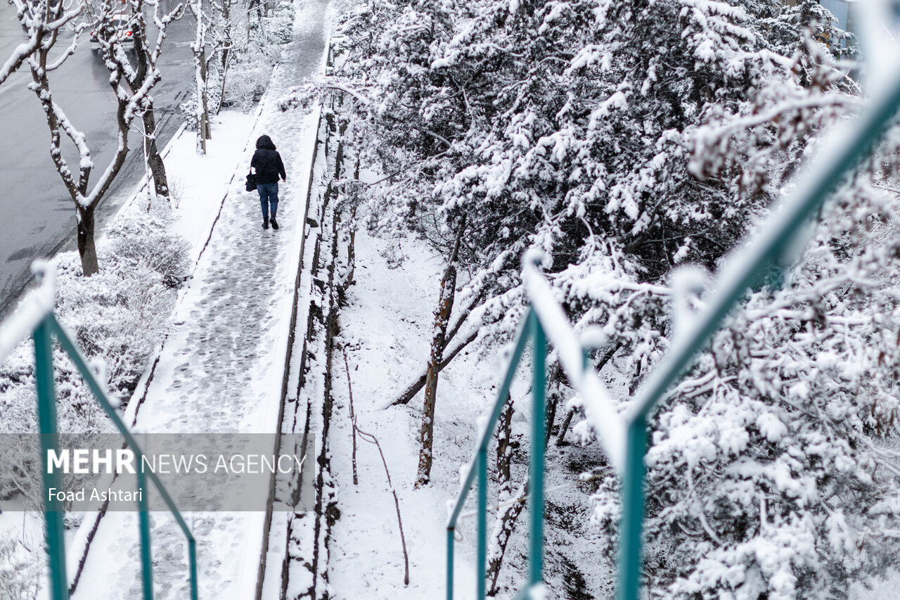 Snowfall in Tehran