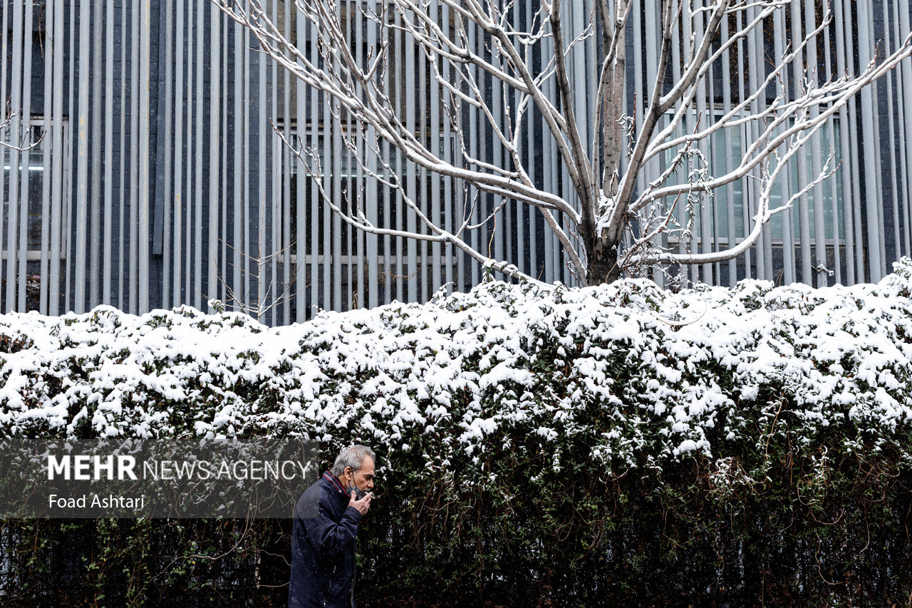 Snowfall in Tehran