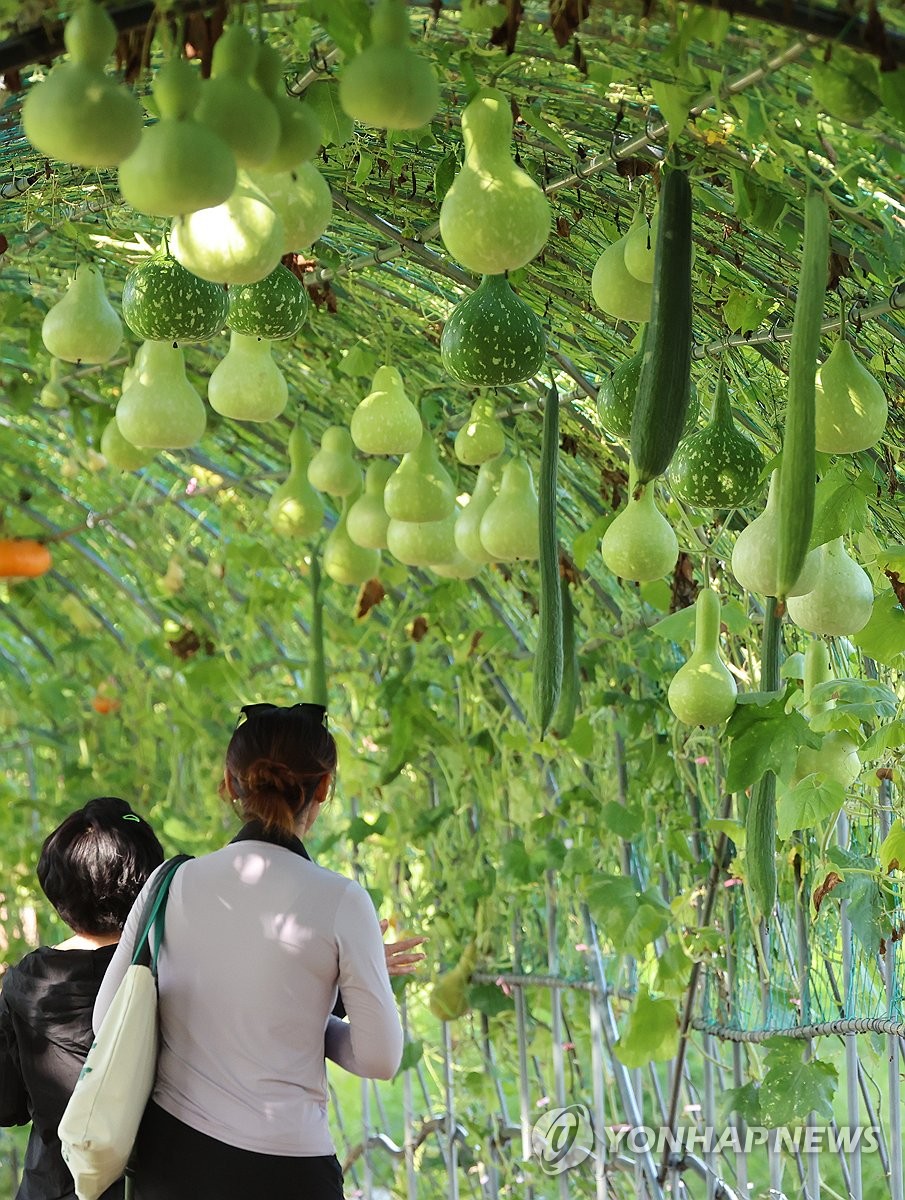 Gourd tunnel