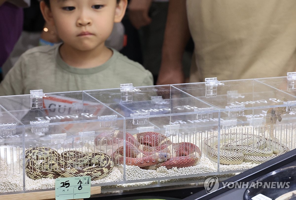 Reptile exhibition