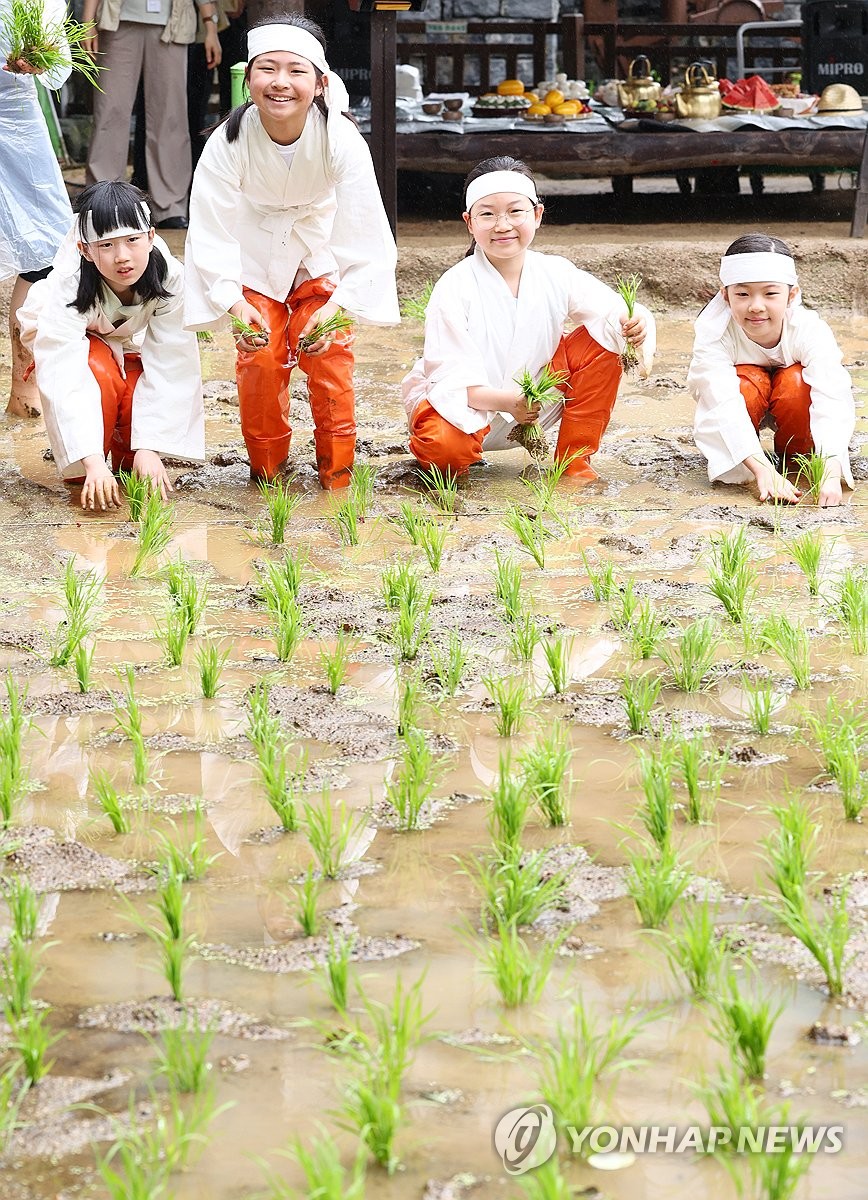Rice planting
