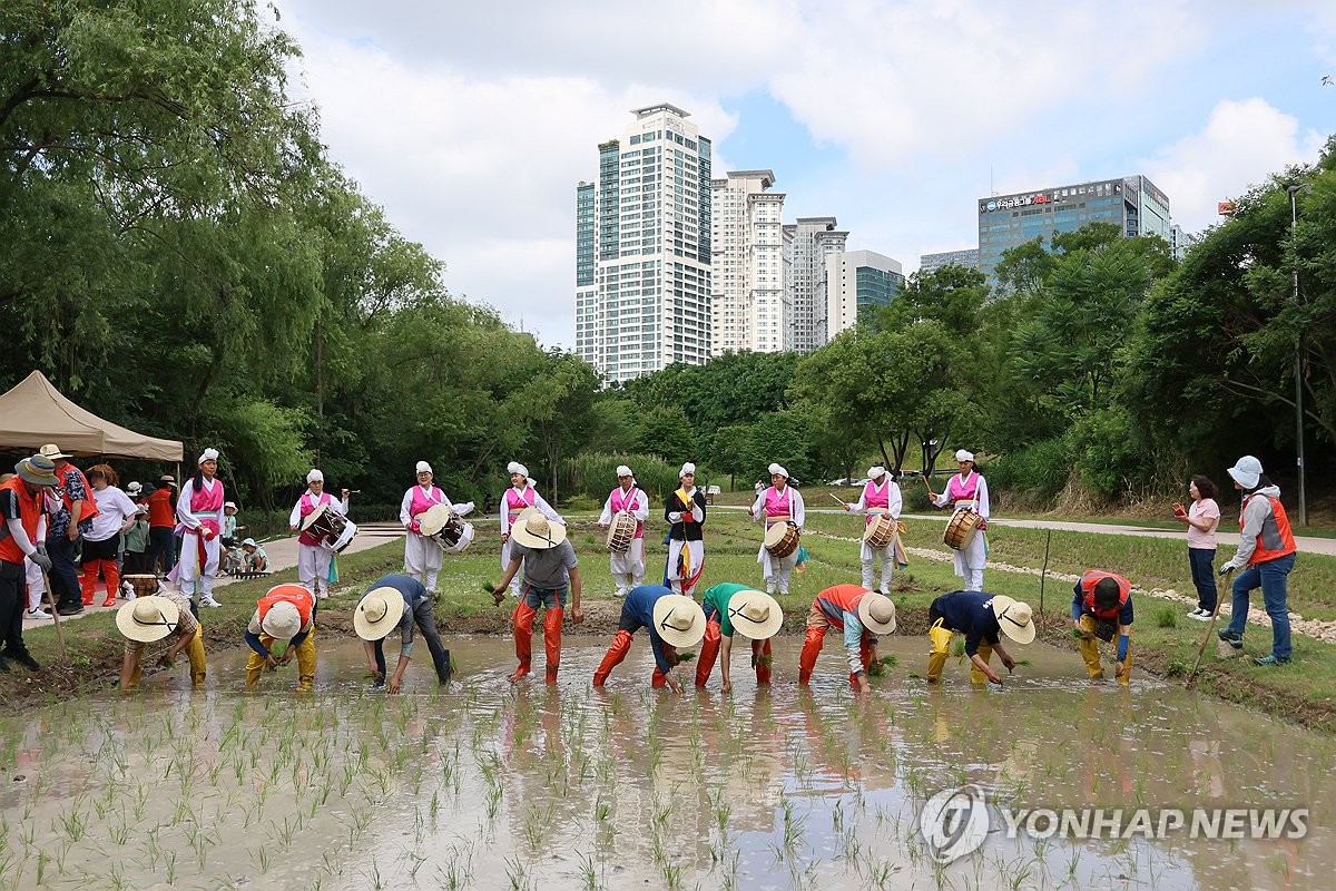 Rice planting