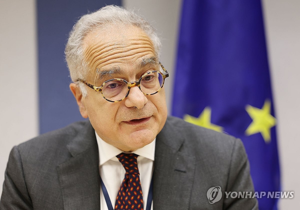 EU envoy gives interview