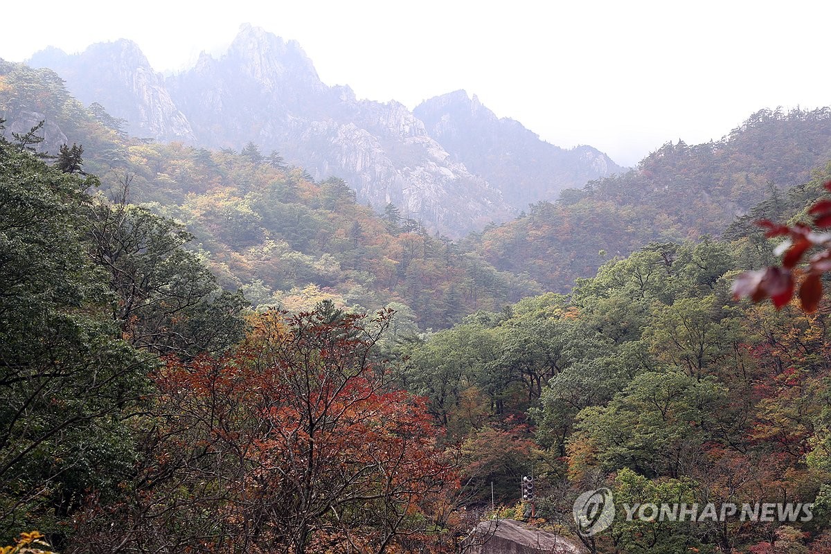Early autumn foliage on Mount Seorak