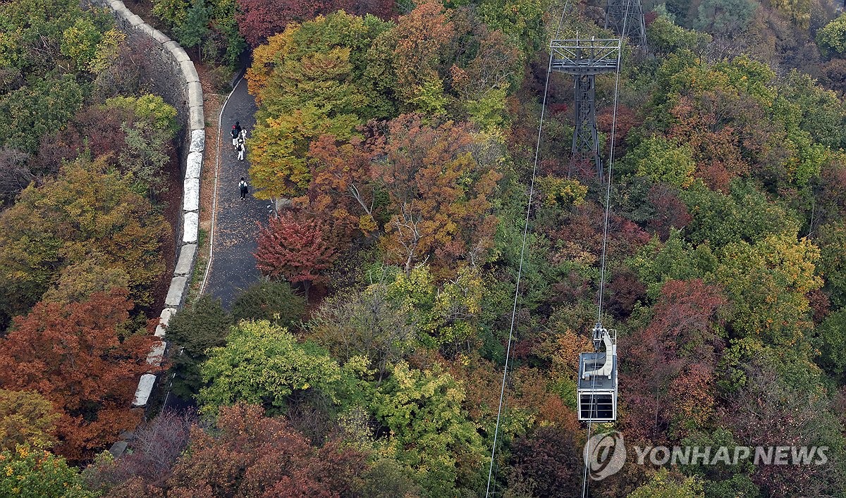 Autumn leaves on Mount Nam
