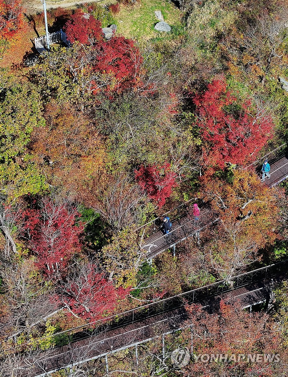 This photo, taken Oct. 7, 2026, shows fall foliage on Mount Balwang in Pyeongchang, Gangwon Province, northeastern South Korea. (Yonhap) (END)