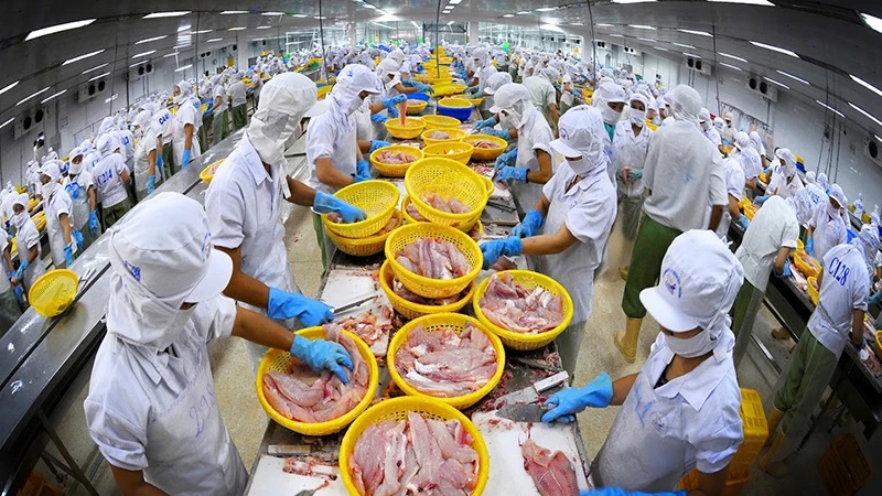 Vietnam needs branding to boost exports to CPTPP market