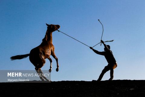 Selected Photos of September 2025