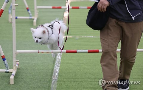 Pet show