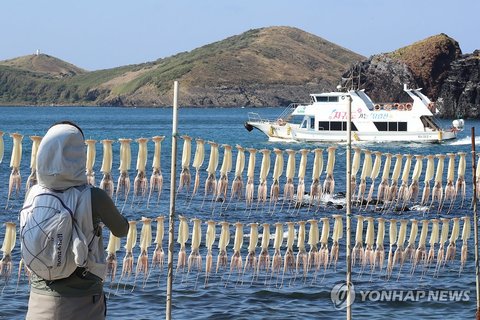 Drying squid