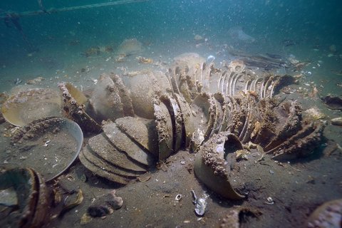 Joseon Dynasty's shipwreck