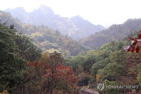 Early autumn foliage on Mount Seorak