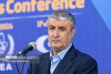 Nobody can dictate their will to Iran: Nuclear chief
