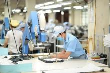 Over 42% of firms foresee better business performance in Q4