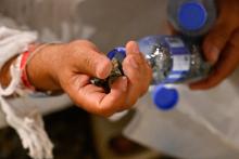 Pilgrims Begin Collecting Pebbles in Muzdalifah Amid Comprehensive Services
